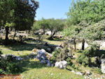 Schitterend landschap - Kefalonia - Foto 45