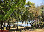 Karavomilos bij Sami - Kefalonia - Foto 224