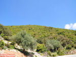 Robola wijnstreek - Kefalonia - Foto 261