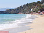 Makris Gialos-strand Lassi - Kefalonia - Foto 293
