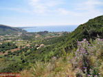 Katelios en de Katelios baai - Kefalonia - Foto 368