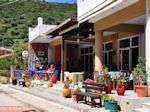 Katelios en de Katelios baai - Kefalonia - Foto 377