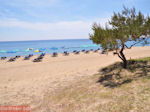 Skala Kefalonia - Kefalonia - Foto 398