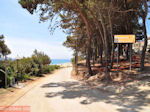 Skala Kefalonia - Kefalonia - Foto 400