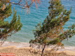 Dennebomen Lassi - Kefalonia - Foto 505