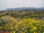 Bij Lixouri op het schiereiland Paliki - Kefalonia - Foto 535