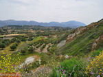 Bij Lixouri op het schiereiland Paliki - Kefalonia - Foto 539
