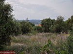 Lassi - Kefalonia - Foto 564