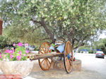 Lassi - Kefalonia - Foto 566