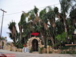 Lassi - Kefalonia - Foto 568