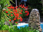 Lassi - Kefalonia - Foto 574