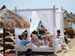 Makris Gialos bij Lassi - Kefalonia - Foto 589