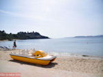 Lassi - Kefalonia - Foto 600